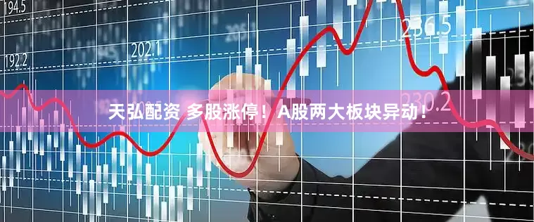 天弘配资 多股涨停！A股两大板块异动！