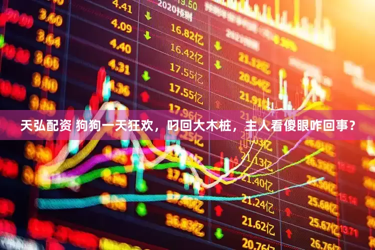 天弘配资 狗狗一天狂欢，叼回大木桩，主人看傻眼咋回事？